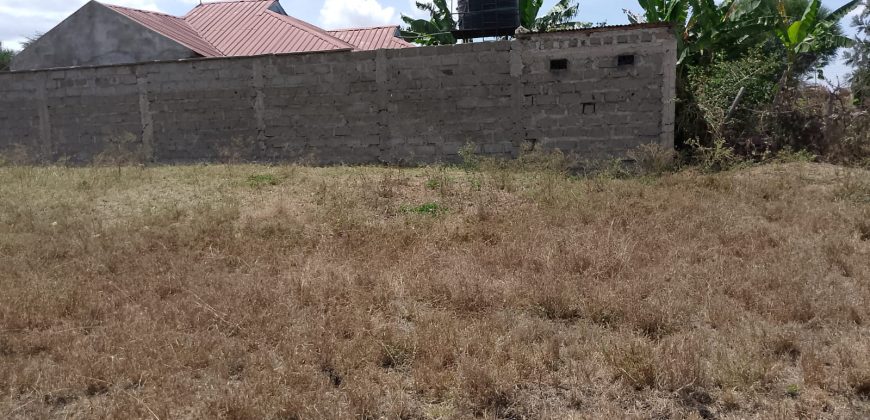 Plot for sale 40 x120 at Kitengela