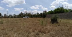 Plot for sale 40 x120 at Kitengela