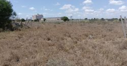 Plot for sale 40 x120 at Kitengela