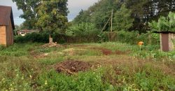 Tigoni Land for sale