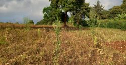 Tigoni Land for sale