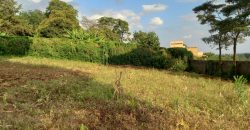 Tigoni Land for sale