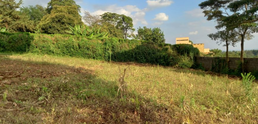 Tigoni Land for sale