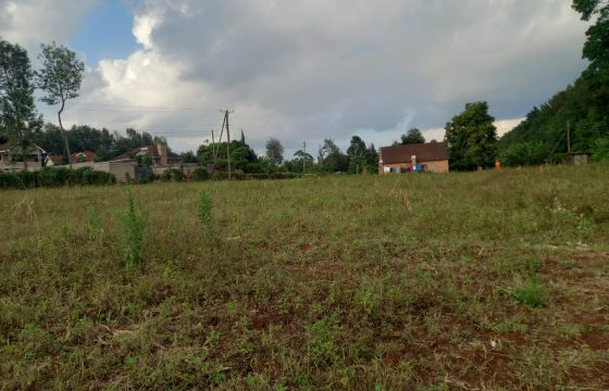 Tigoni Land for sale